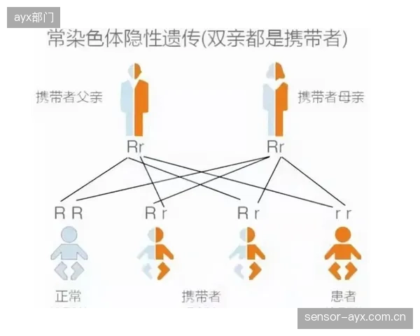 体育数据标准的长期缺位，正在加剧行业数据孤岛效应，导致不同系统与平台之间难以实现有效的数据交换