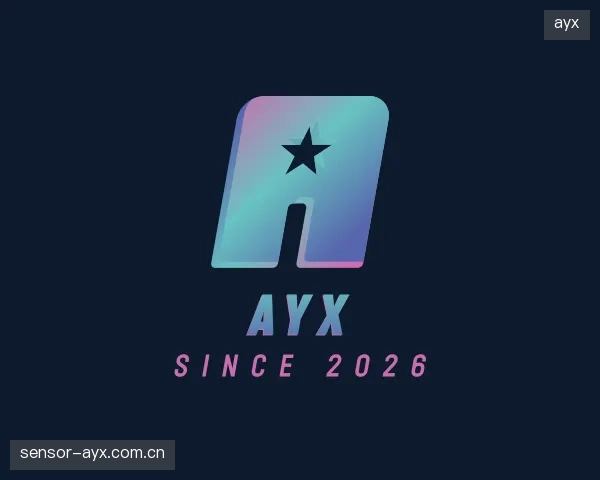 发现ayx集团